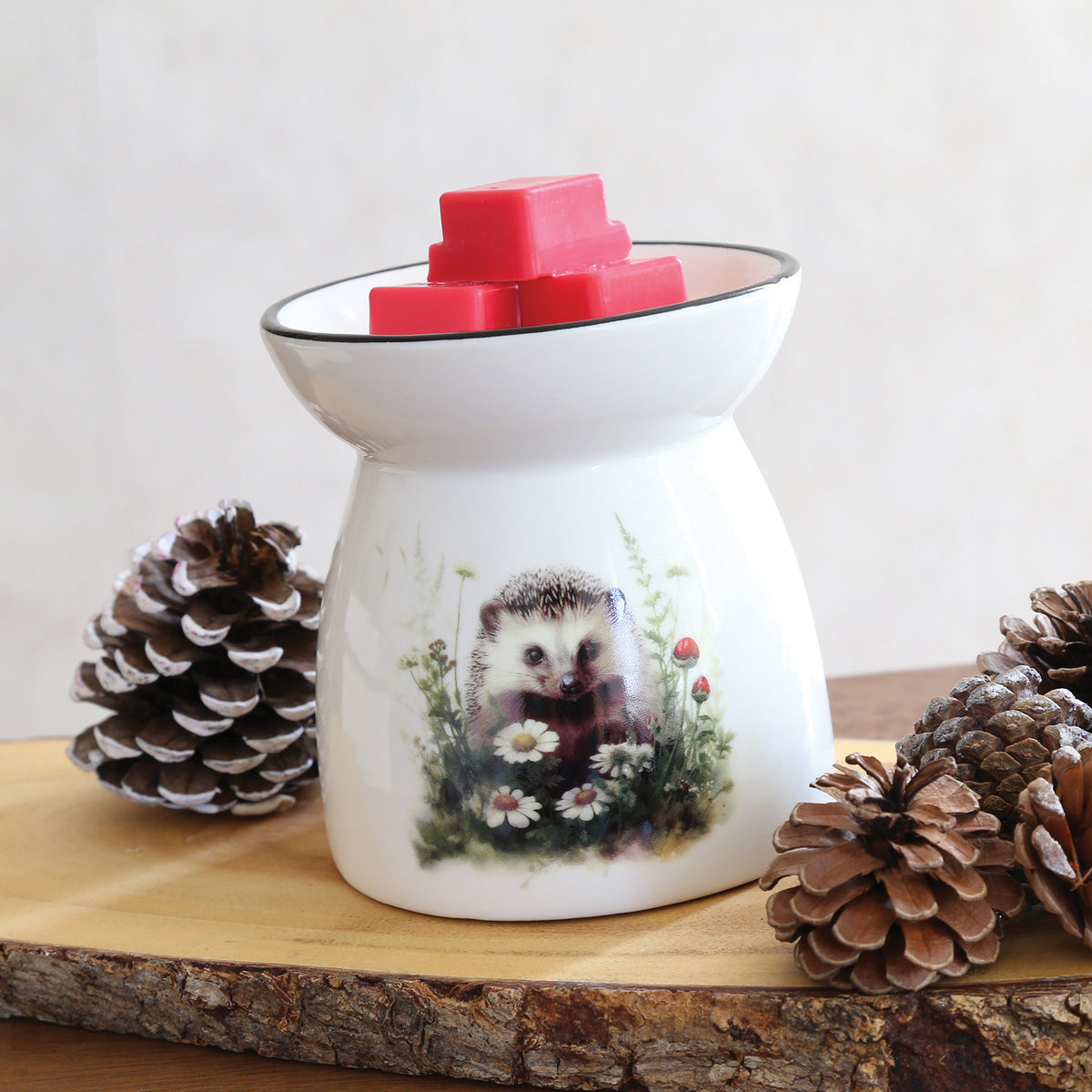 Hedgehog Melter 11cm