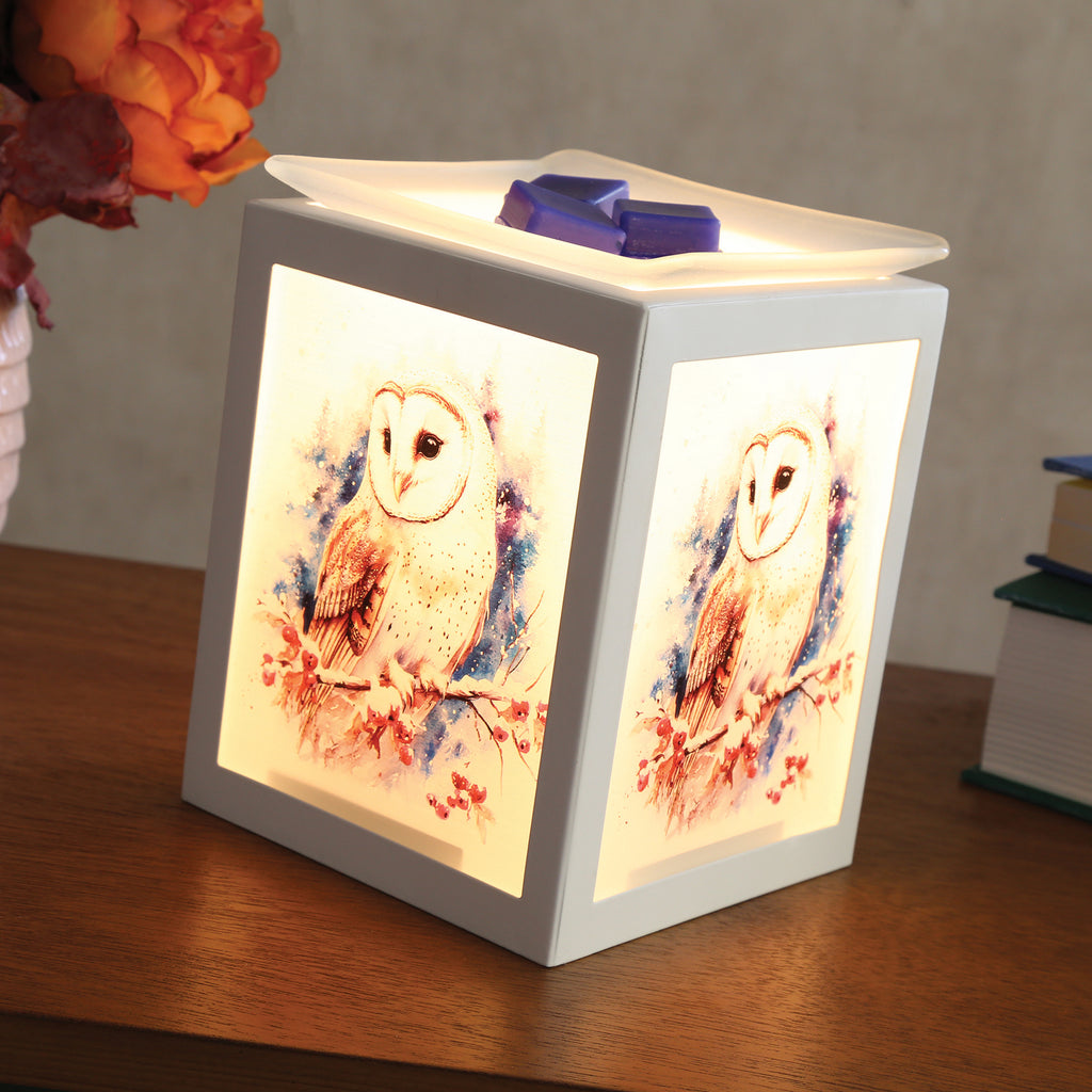 Electric Melter Owl 14cm