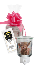 Plug In Melter Highland Cow & Wax Melts | Boutique Aroma