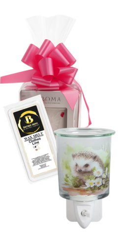 Plug In Melter Hedgehog & Wax Melts | Boutique Aroma