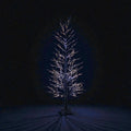 LED Twinkle Tree 6ft 1100L