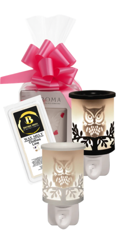 Plug In Owl & Wax Melts | Boutique Aroma